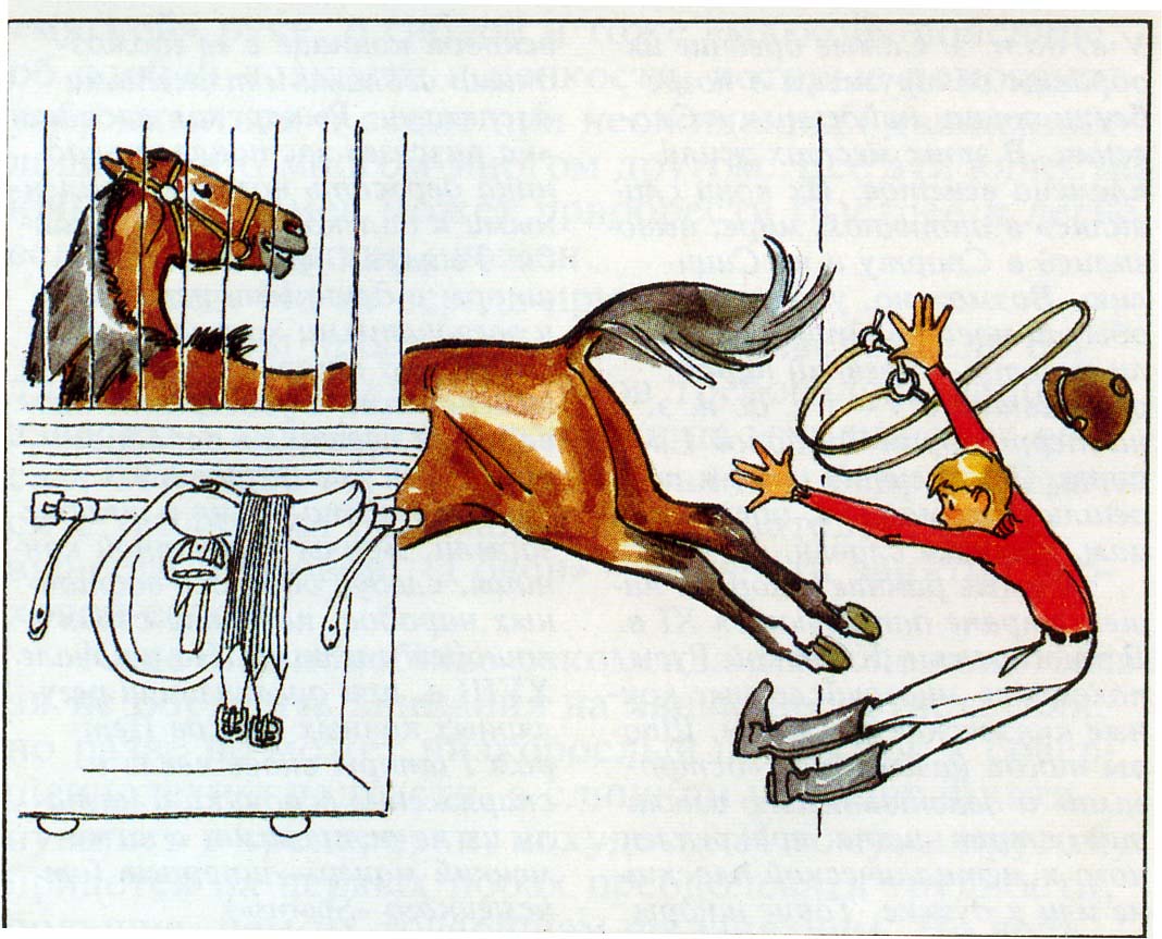 Мужик привел коня в квартиру. Техника безопасности на конюшне. Техника безопасности с лошадью. Техника безопасности на конюшне с лошадьми. Техника безопасности конный спорт.
