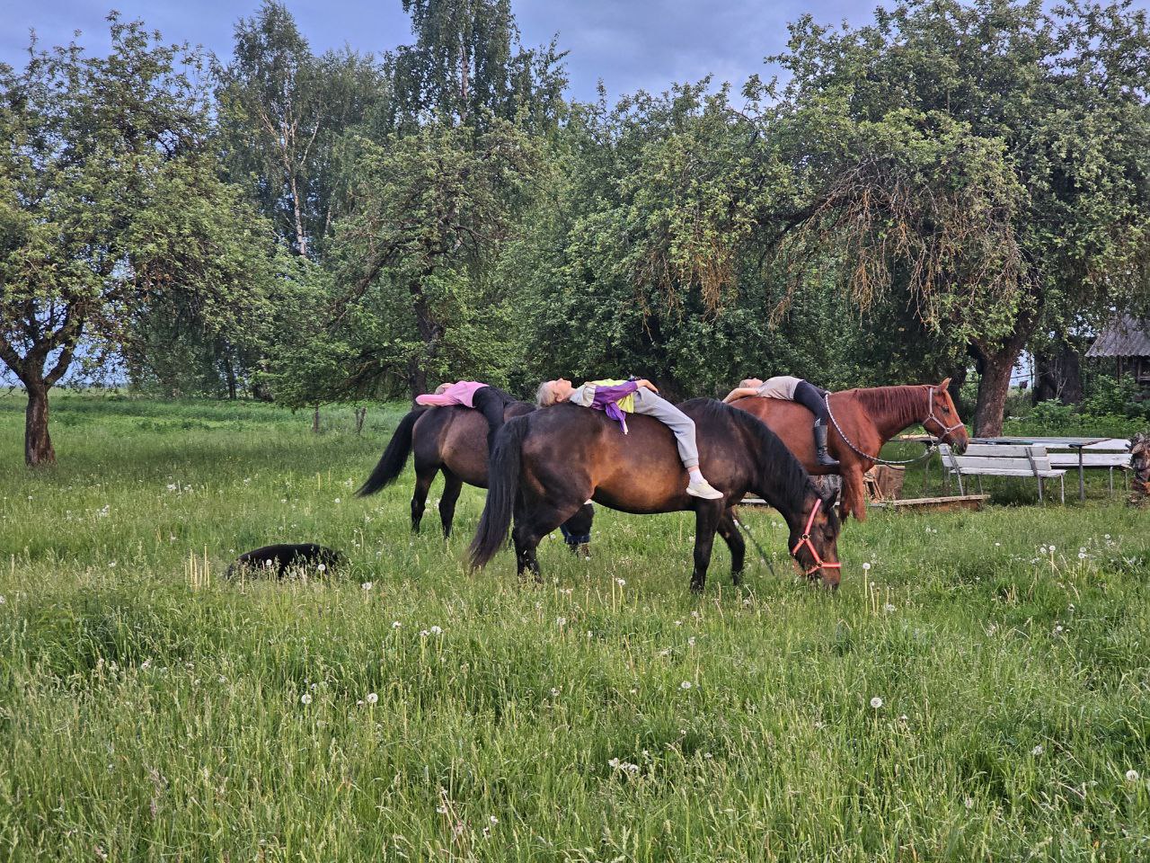 Релакс верхом