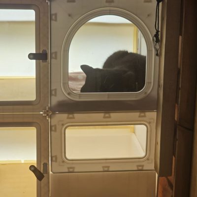 котельня3